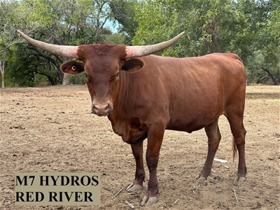 M7 HYDRO'S RED RIVER